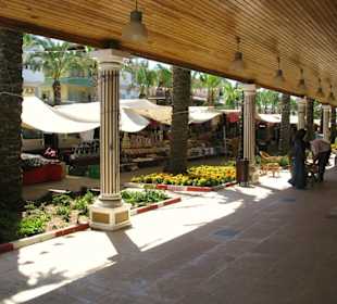 Markttag ist Dienstag in Kadriye