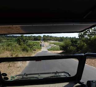 Krüger Nationalpark