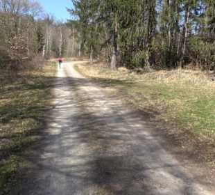 Geologischer Lehrpfad Kirnbachtal
