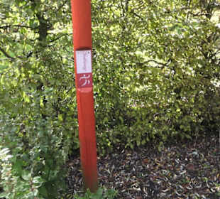 Kneipp`scher Sinnesgarten