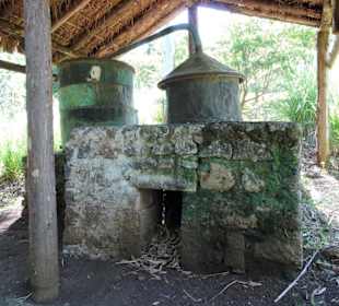 Destillierstation im Botanischen Garten Mascarin