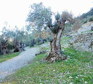 Wanderweg
