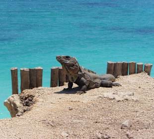 Tulum