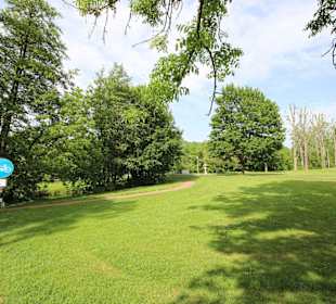 Blick in den Schlosspark