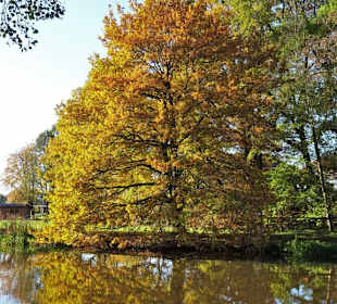 November im Stadtpark Wildeshausen