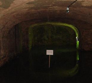 Auch Geheimtipps mit im Programm