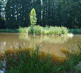 Wandern Zwettl