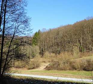Acker- und Weideflächen am unteren Bärental