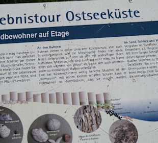 Stadtrundfahrt Grömitz