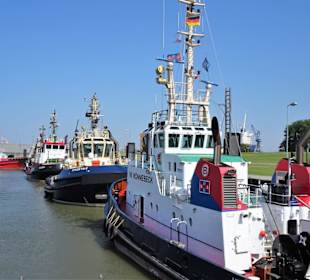 Eindrücke aus dem Schlepperhafen