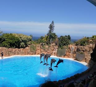 Hotel Blue Sea Interpalace