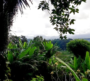 Ausblick von der Terrasse