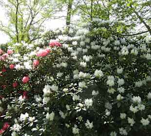 Altstadt Hamburg - Bergedorf Park