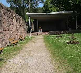 Schlossruine Wildberg