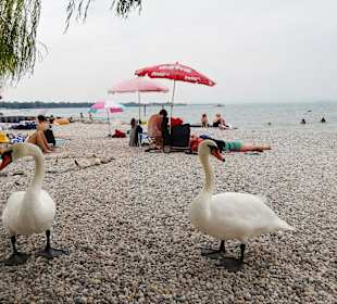 Strand Peschiera del Garda