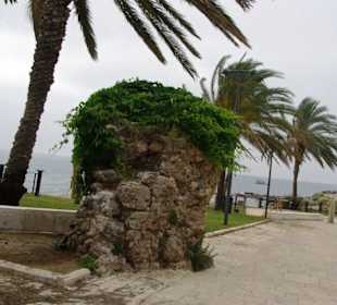 Am Ende vom Restaurant