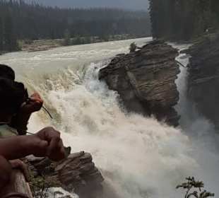 Athabasca Fälle
