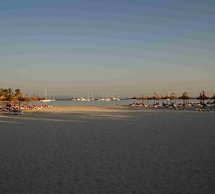 Alcudia