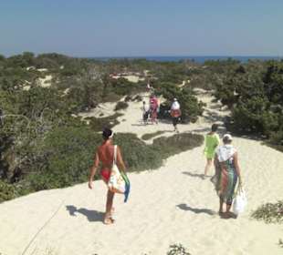 Der Weg über die Dünen zurück zum Boot