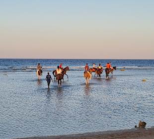 Quad Tour Makadi Bay