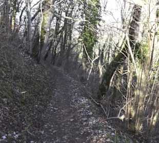 Wanderweg zur Achalm