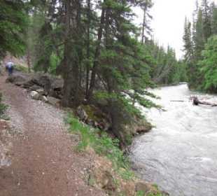 Nr. 1: Maligne River nach Canyonaustritt