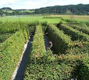 Bald gehts nach draussen