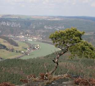 Blick in Richtung Rathen