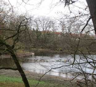 An der Lochmühle Lingenfeld