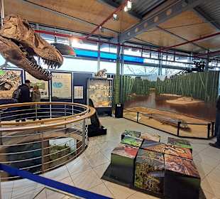 Geoskop in Thallichtenberg