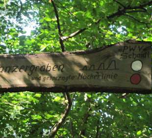 Kleiner Westwallweg bei Schaidt