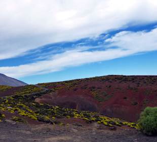 Teide