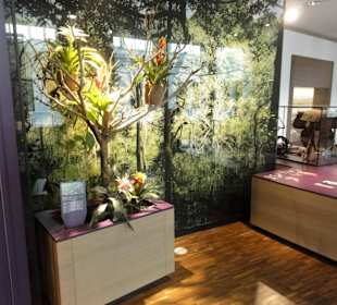 Blick in die Ausstellungsräume