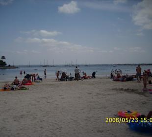 Der Strand von Alcudia