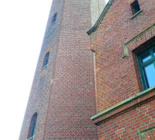 Apollo Tagestour zur Greifswalder Oie 