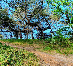 Wandern De Koog/Texel