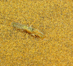 Ende September 2010 Inspirationen