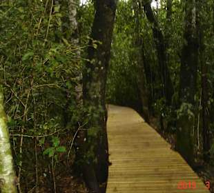 Tsitsikamma National Park