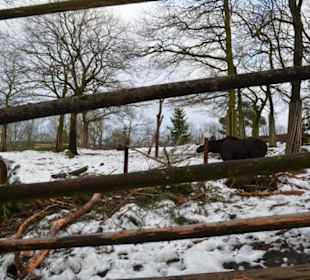 Freilichtmuseum Skansen