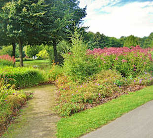 Blumenwiesen