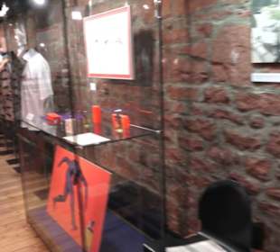 Theodor Zink Museum