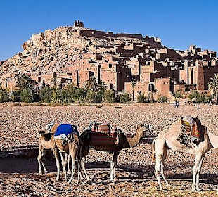 Guided Tours Sud Aventures Tours Agadir