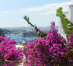Bodrum - City mit Flair
