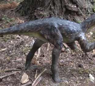 Dinosaurier Museum Altmühltal