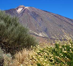 El Teide