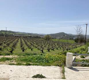 Wandern Paphos