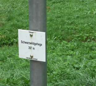 Altwege Rundwanderung Bebenhausen