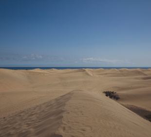 Dünen von Maspalomas