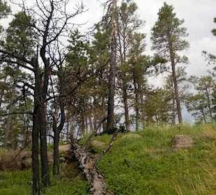 Devils Tower, Wyoming