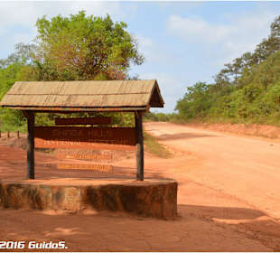 Shimba Hills Einfahrt